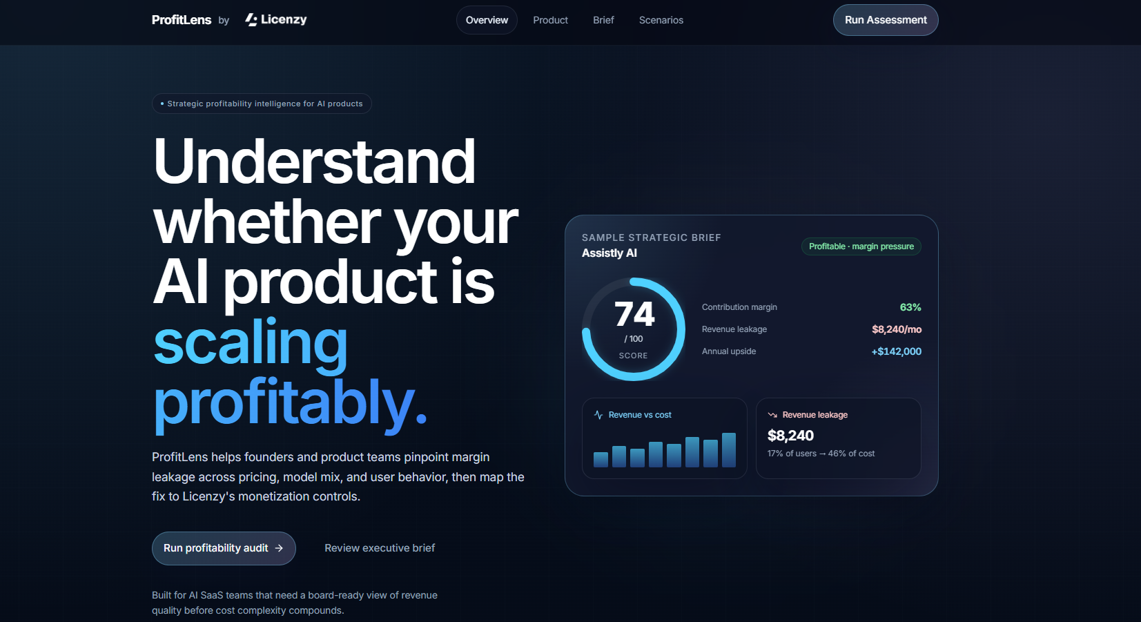 ProfitLens product overview screenshot
